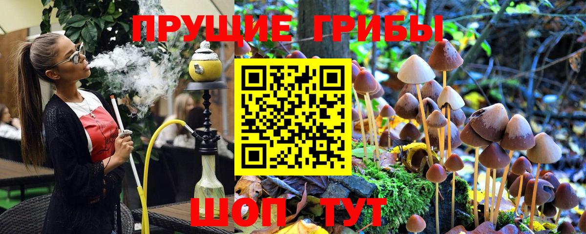Галлюциногенные грибы GOLDEN TEACHER  Псилоцибиновые грибы мухоморы  Заводоуковск  Вход с VPN 
